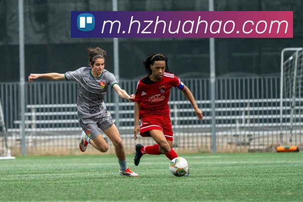 App Interface Preview